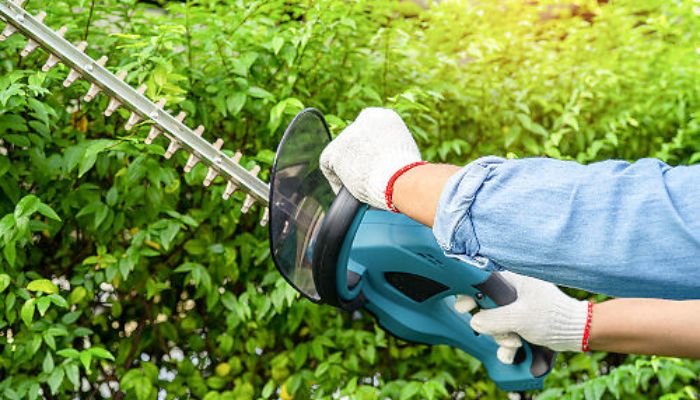 Safety Guide 2023: Staying Safe Working with Hedge Trimmers